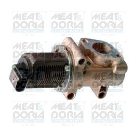 EGR Valve MEAT & DORIA 88016R