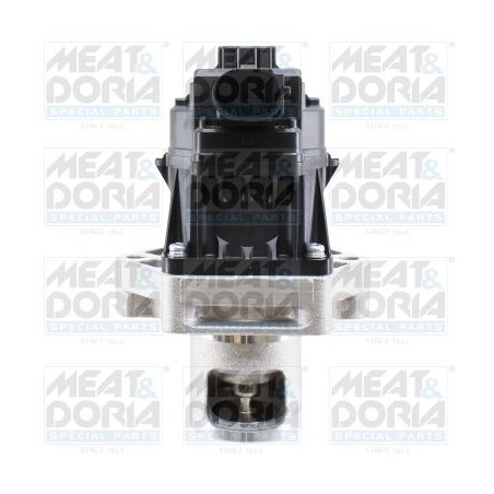 EGR Valve MEAT & DORIA 88103