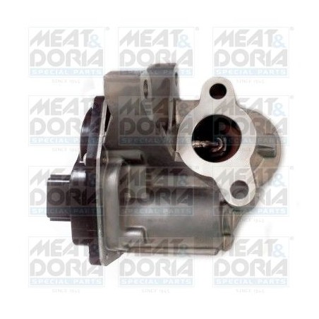 EGR Valve MEAT & DORIA 88284