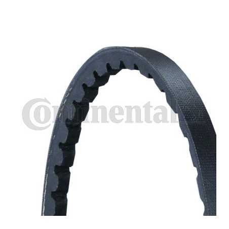 V-Belt CONTINENTAL CTAM AVX10X613