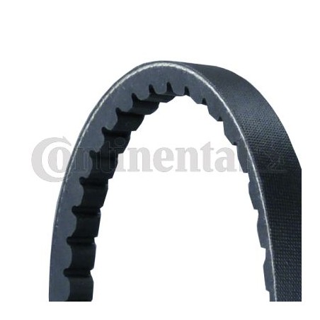 V-Belt CONTINENTAL CTAM AVX13X925