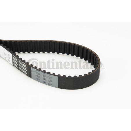 Timing Belt CONTINENTAL CTAM CT1062