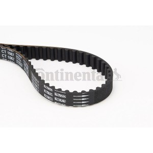 Timing Belt CONTINENTAL CTAM CT1067