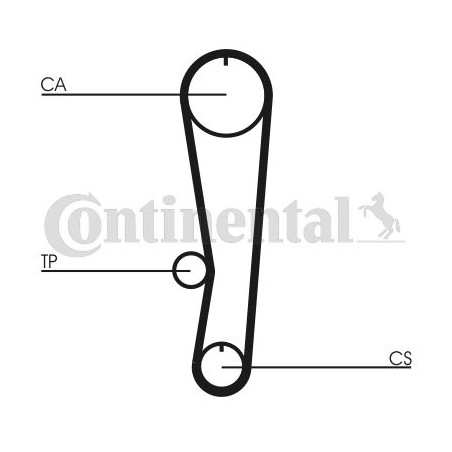 Timing Belt CONTINENTAL CTAM CT895