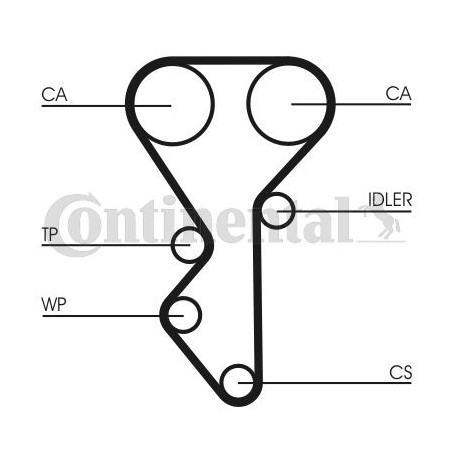 Οδοντωτός ιμάντας CONTINENTAL CTAM CT955