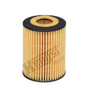 Oil Filter HENGST FILTER E820HD245