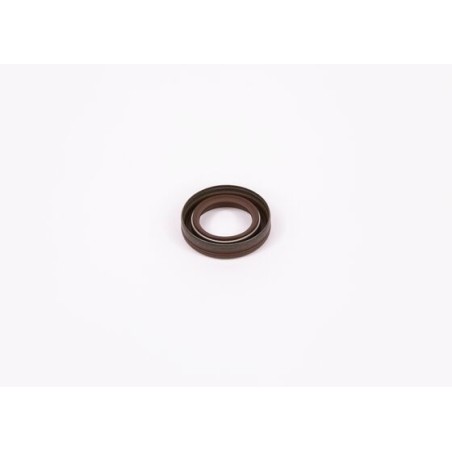 τσιμούχα BOSCH F00R0P0253