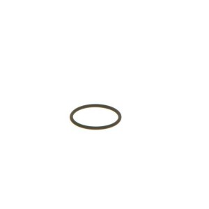 Seal Ring BOSCH F00VC38002