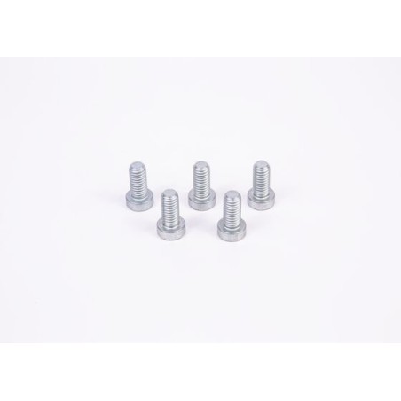 Βίδα BOSCH F01M100684