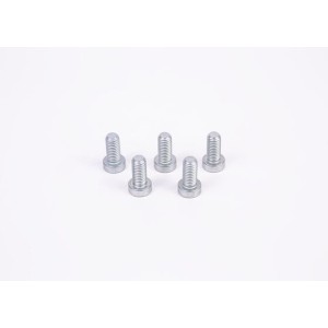 Screw BOSCH F01M100684