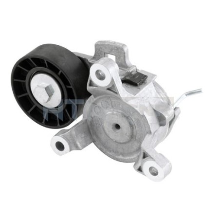 Tensioner Pulley, V-ribbed belt SNR GA359.20