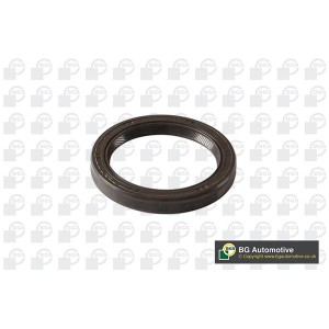 Shaft Seal, crankshaft BGA OS1360