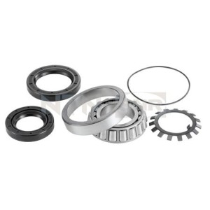 Wheel Bearing Kit SNR R141.70