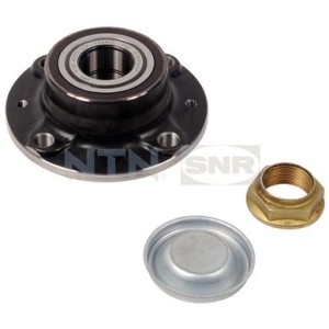 Wheel Bearing Kit SNR R166.31