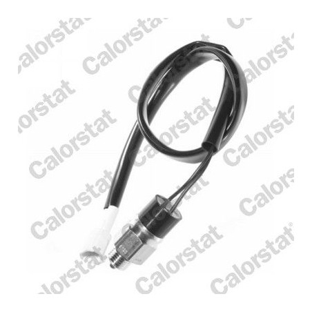 Switch, reverse light CALORSTAT by Vernet RS5556