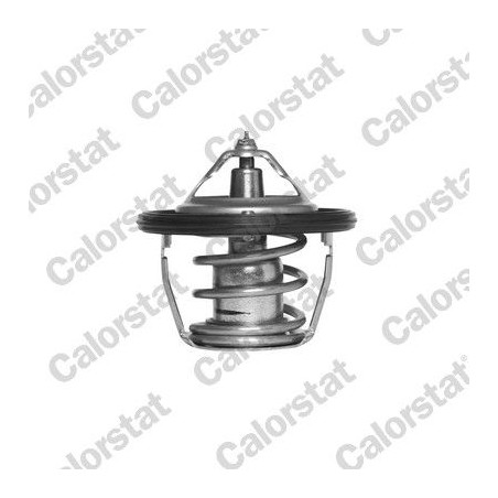 Θερμοστάτης, ψυκτικό υγρό CALORSTAT by Vernet TH6736.78J