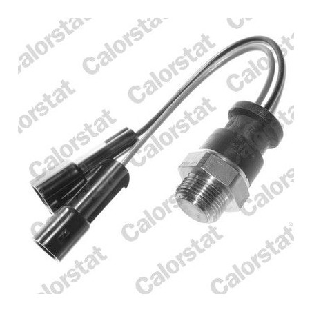 Temperature Switch, radiator fan CALORSTAT by Vernet TS2700