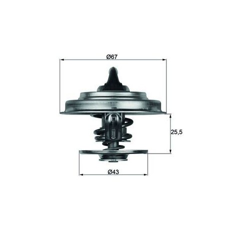 Θερμοστάτης, ψυκτικό υγρό MAHLE TX1875