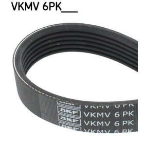 V-Ribbed Belt SKF VKMV6PK905