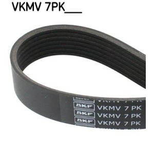 V-Ribbed Belt SKF VKMV7PK1377