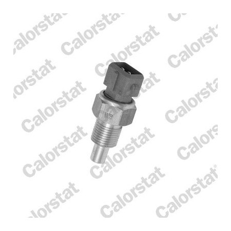 Sensor, coolant temperature CALORSTAT by Vernet WS2613