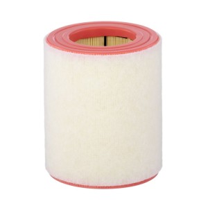Air Filter Mann-Filter -  C16005