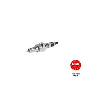 Spark Plug NGK 6216