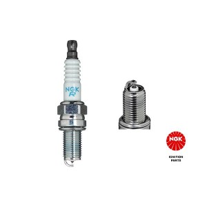 Spark Plug NGK 3641