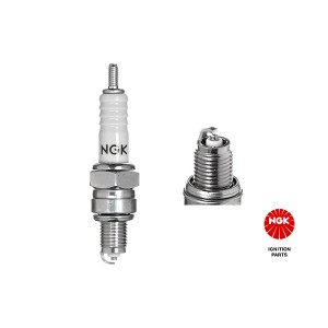 Spark Plug NGK 4629