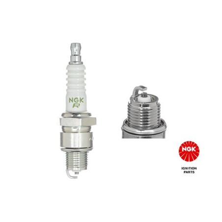 Spark Plug NGK 4495