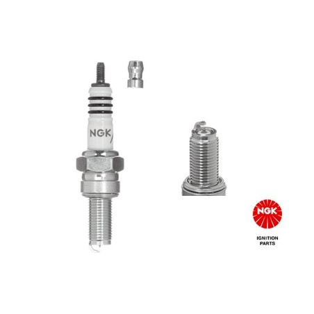 Spark Plug NGK 3521
