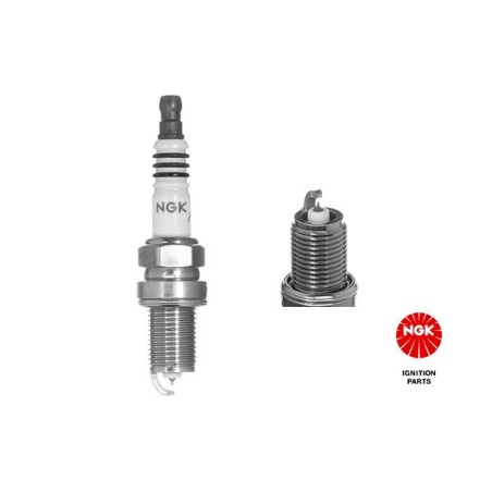 Spark Plug NGK 4919