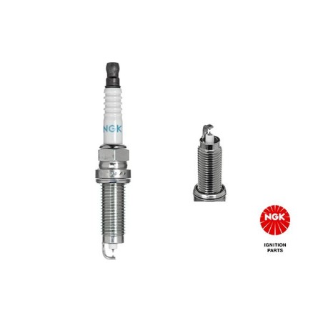 Spark Plug NGK 91691