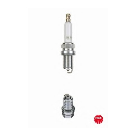 Spark Plug NGK 4293