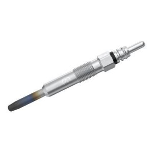 Προθερμαντήρας BOSCH 0250202022