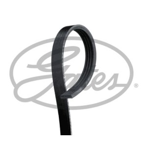 V-Ribbed Belt GATES 4PK890