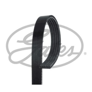 V-Ribbed Belt GATES 5PK803