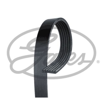 V-Ribbed Belt GATES 6PK2013