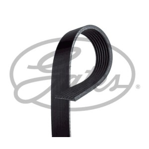 V-Ribbed Belt GATES 7PK1785