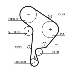 Timing Belt GATES 5559XS