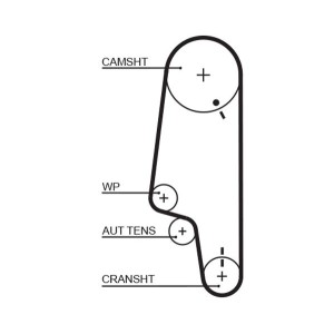 Timing Belt GATES 5428XS