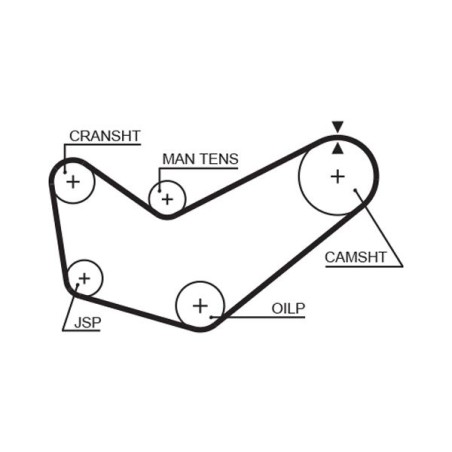 Timing Belt GATES 5218