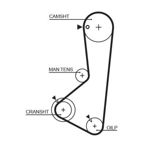 Timing Belt GATES 5372XS