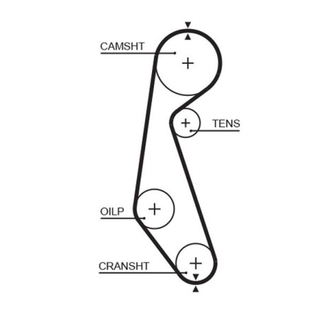 Timing Belt GATES 5090