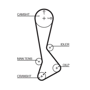 Timing Belt GATES 5198XS