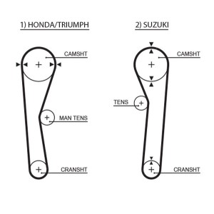 Timing Belt GATES 5019