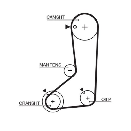 Timing Belt GATES 5254XS