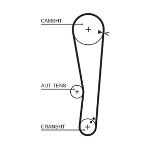 Timing Belt GATES 5568XS