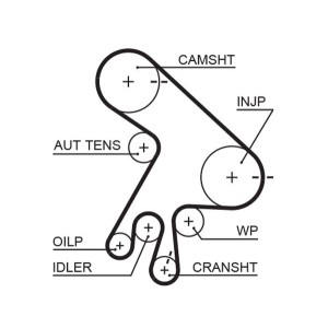 Timing Belt GATES 5562XS