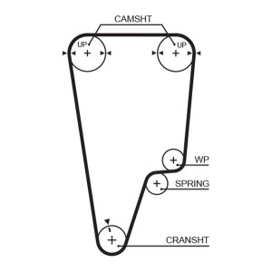 Timing Belt GATES 5505XS